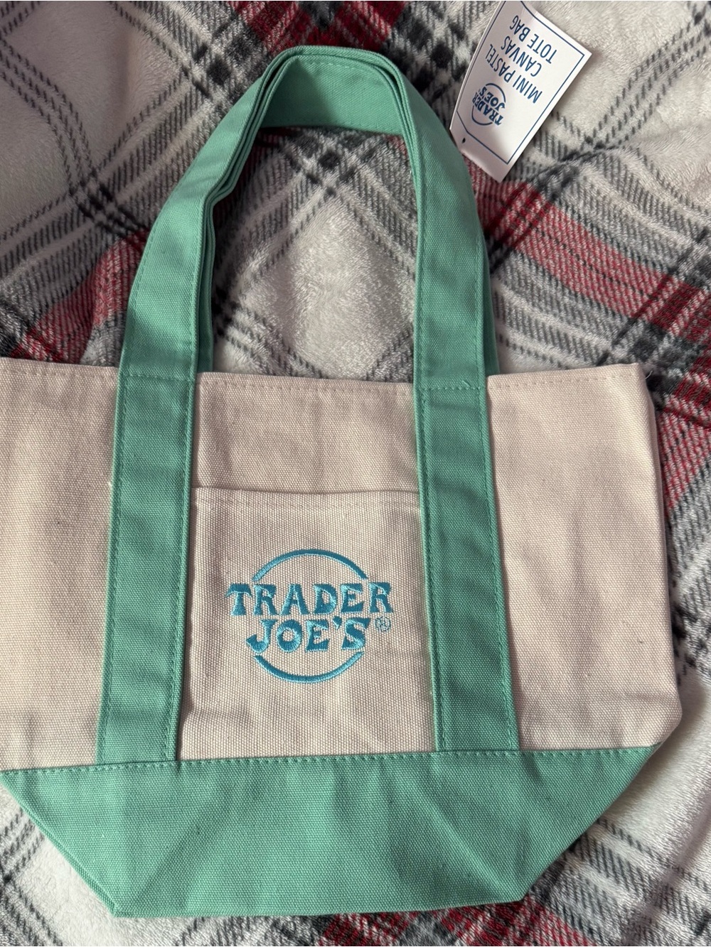 Joe's Jeans Canvas Tote in Mint Green and Natural